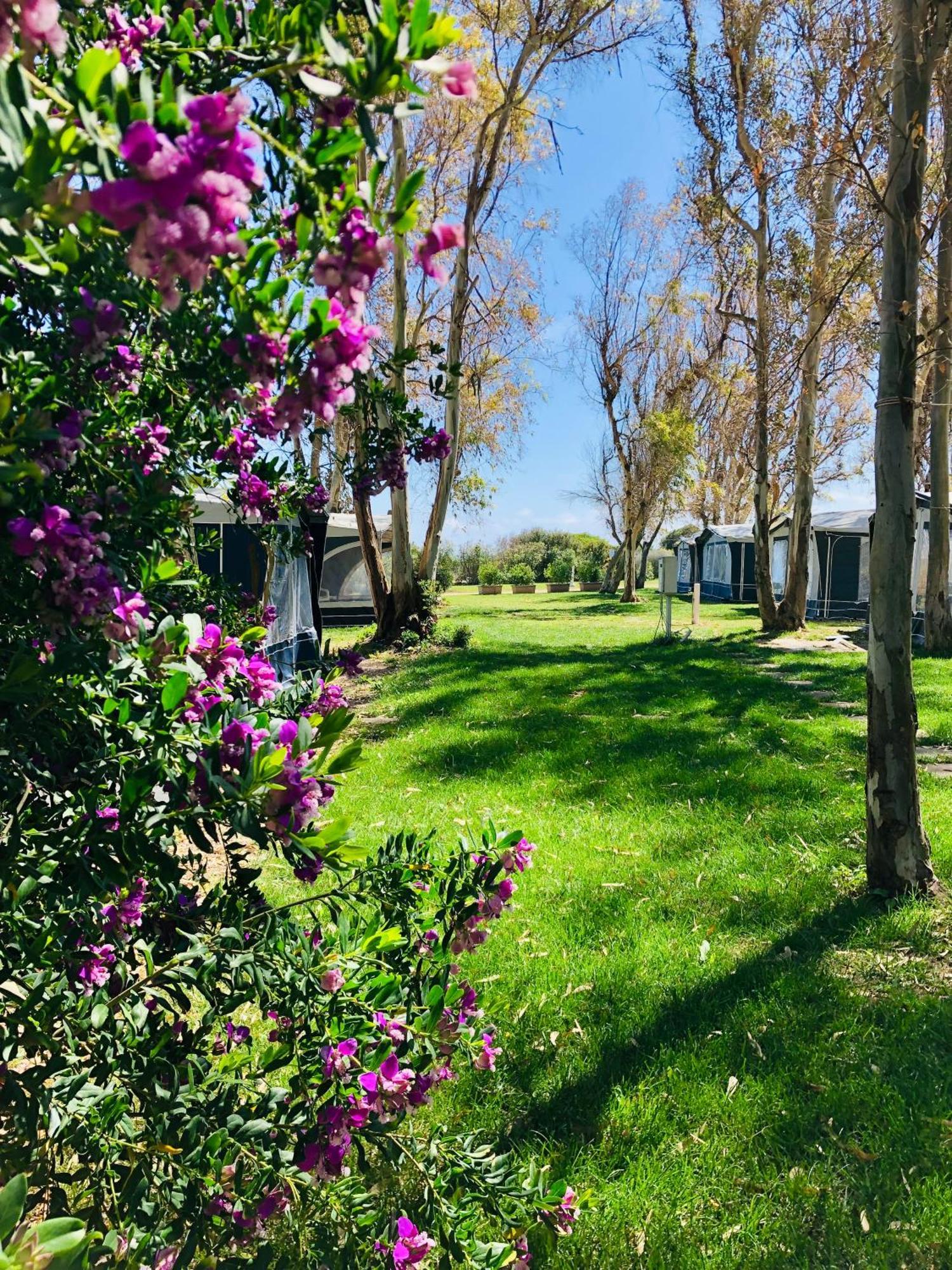 Camping Cala D'Ostia Pula Exterior photo